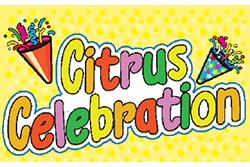 Citrus Celebration Artwork
